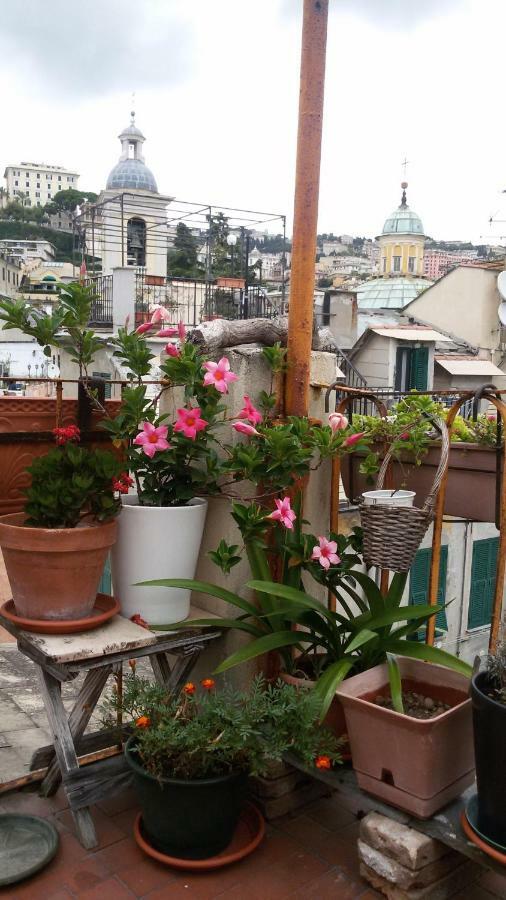 Hotel Il Geco Genua Exterior foto